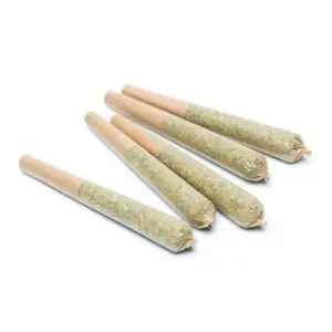 10 Pack Of Pre-Rolls