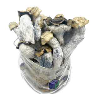 Kaufen Sie Psychedelische Pilze Online
