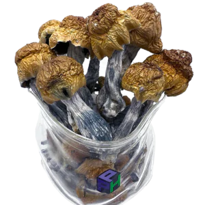 Bestellen Sie Psychedelika Sicher Online