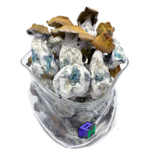 Psychedelika kaufen