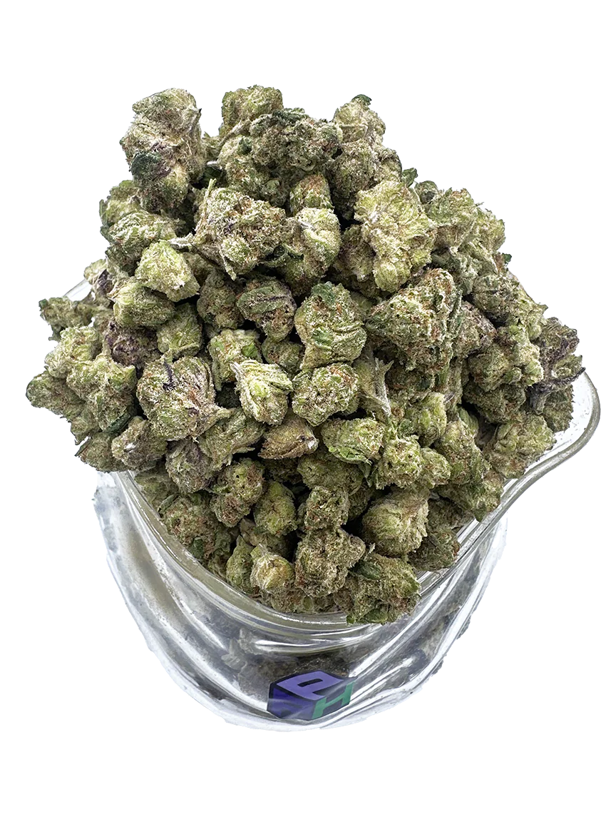 Wo kann ich die Cannabissorte Harlequin kaufen?