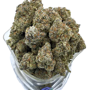 Wo kann ich die Cannabissorte Sherblato kaufen?