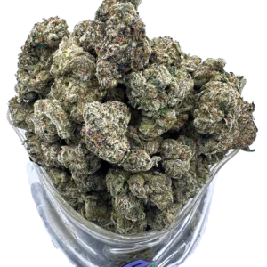 White Cherry Gelato